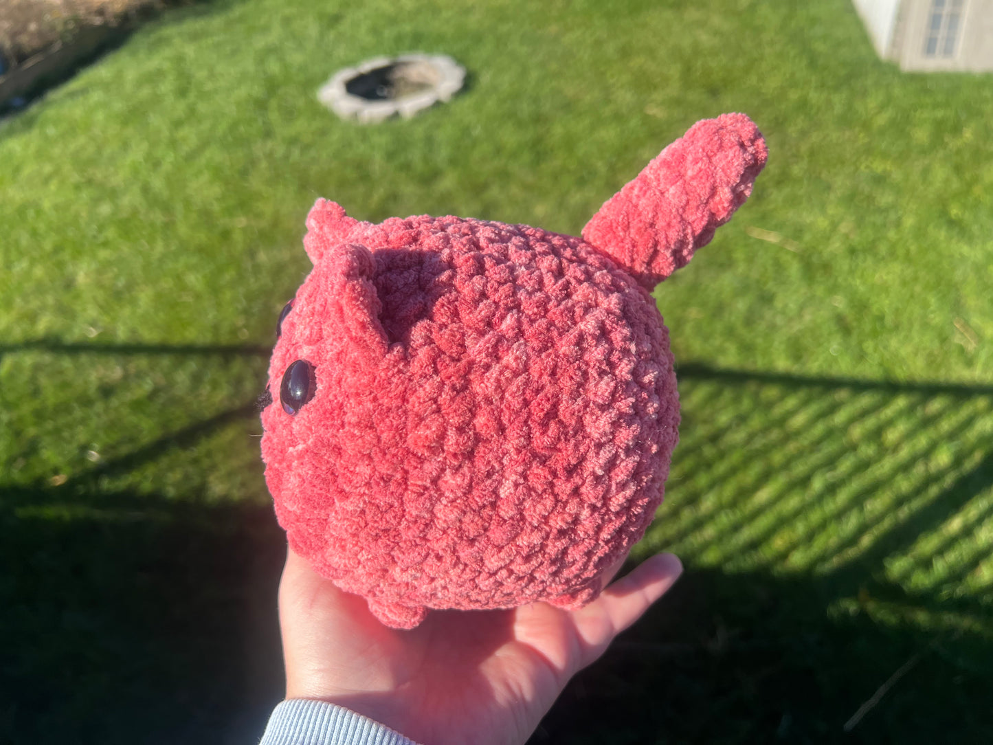 Loaf Cat (Lg) Salmon