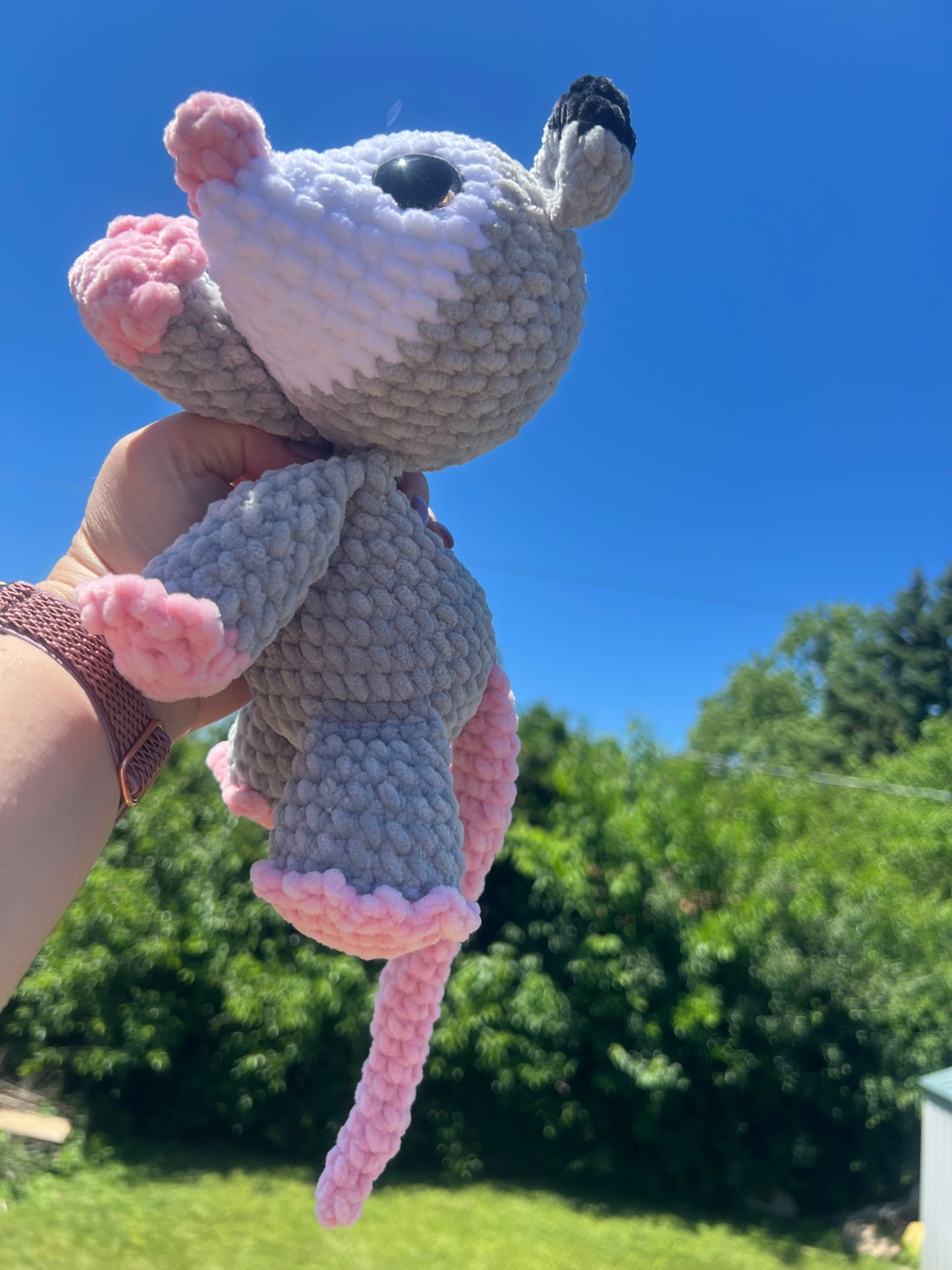 Pepper the Possum