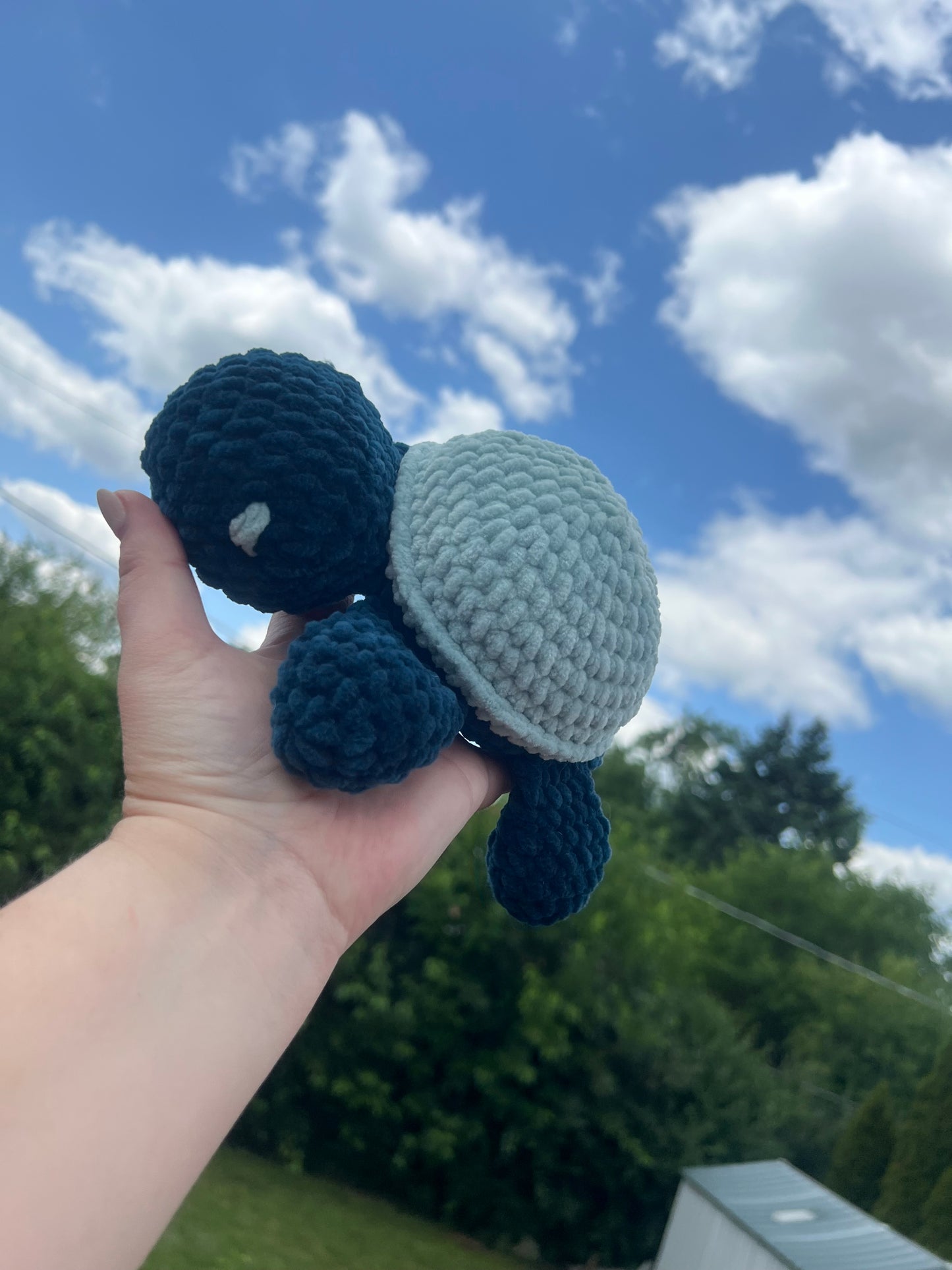 Aqua Turtle