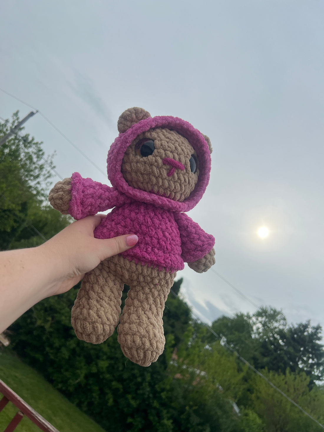 Hoodie Bears