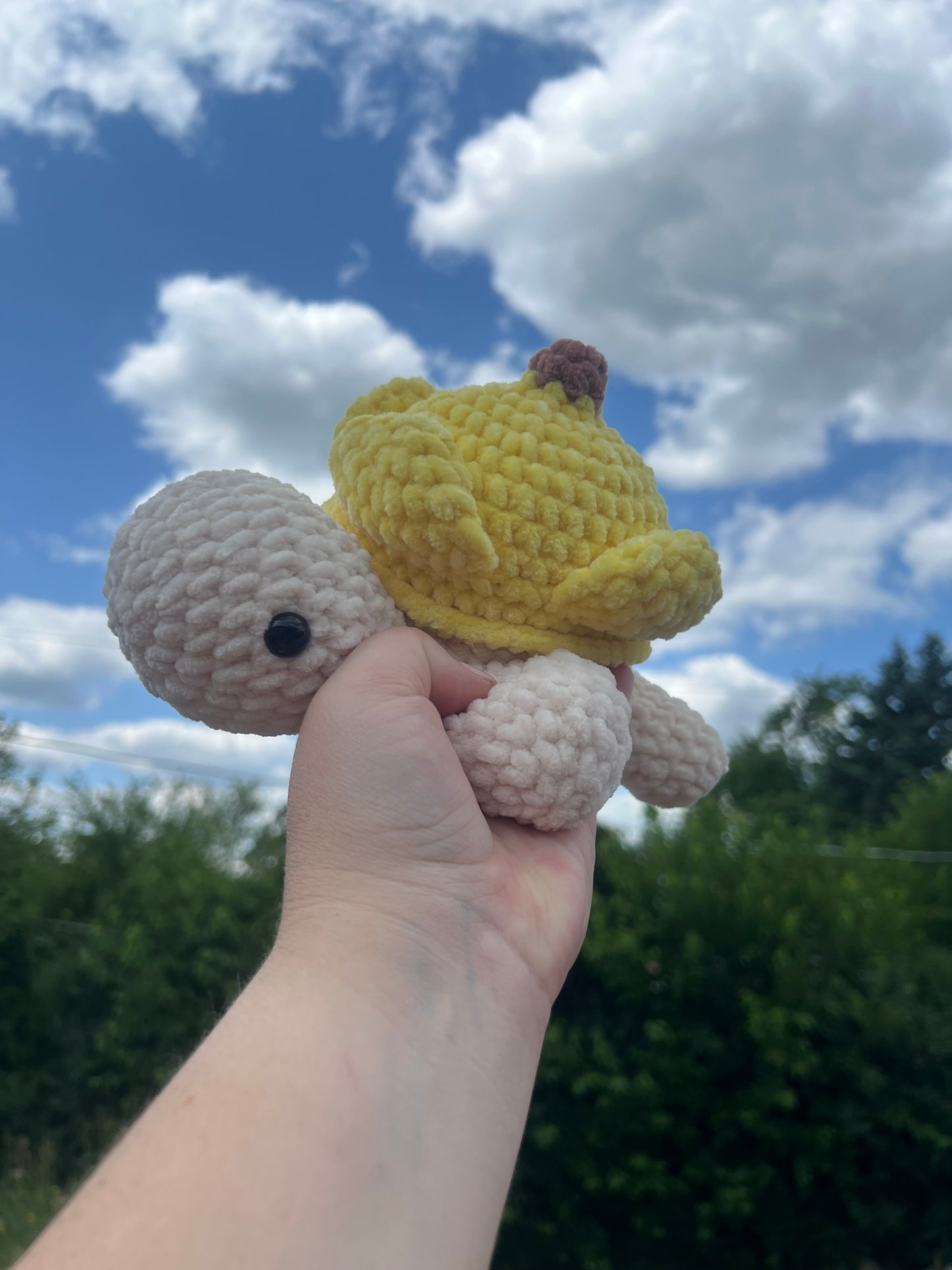 Banana Turtle