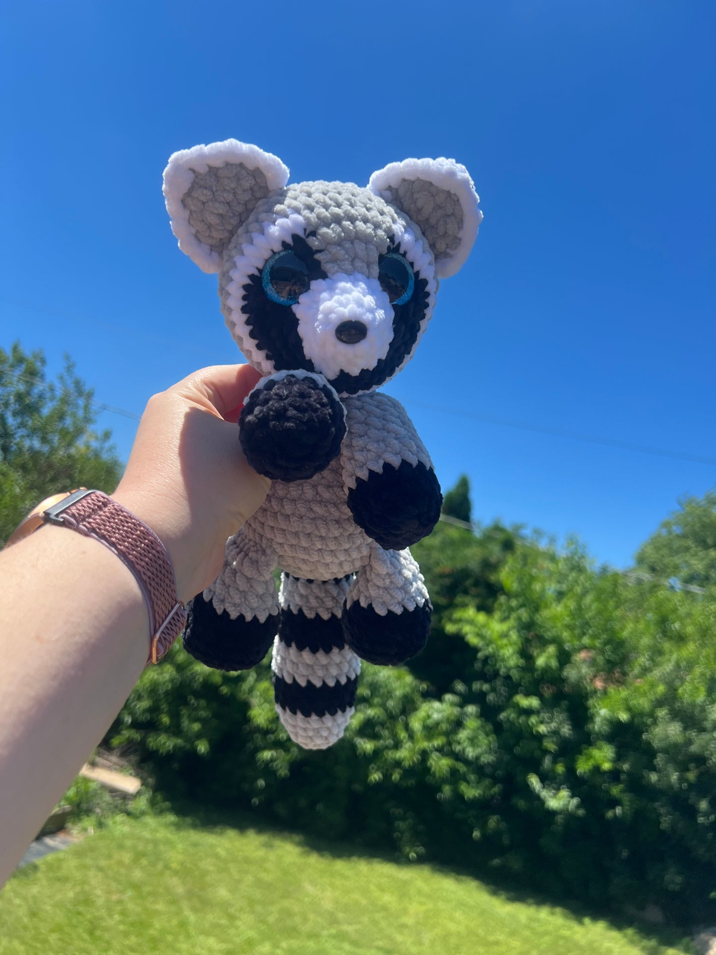 Raisin the Raccoon