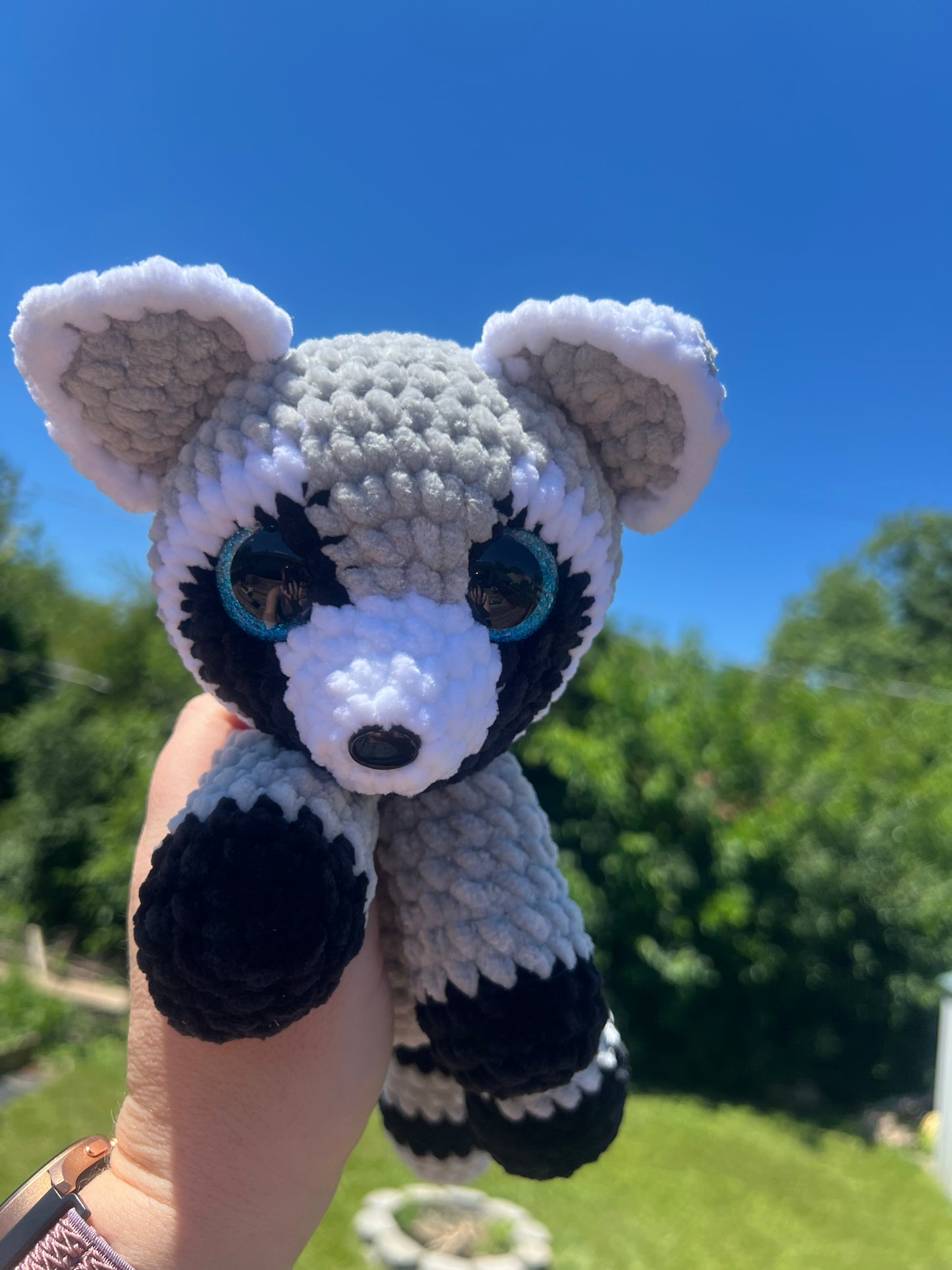 Raisin the Raccoon