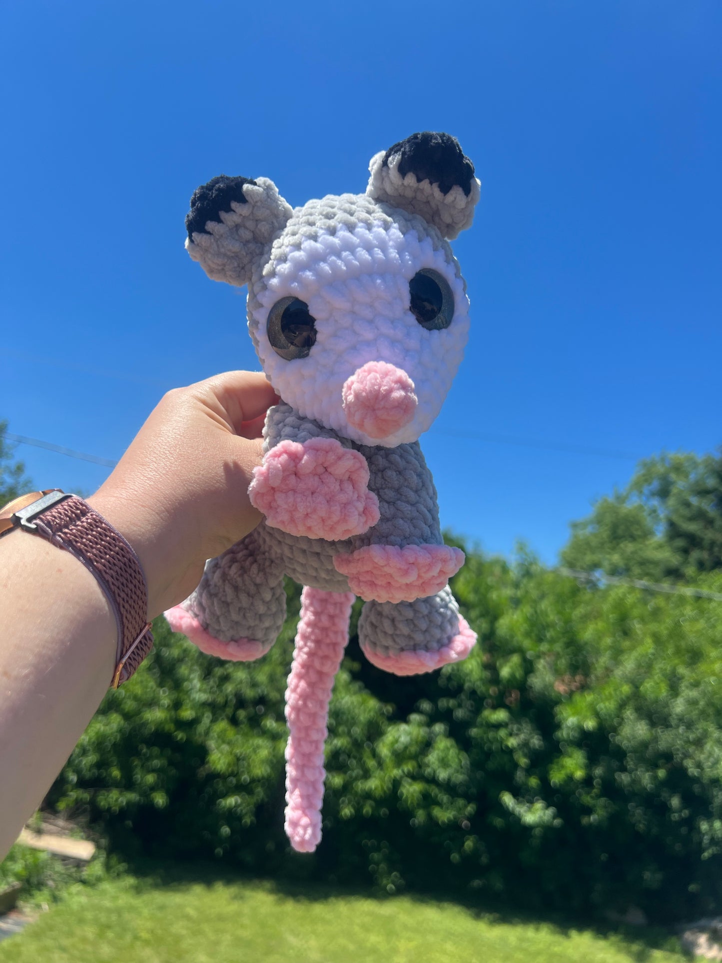 Pepper the Possum