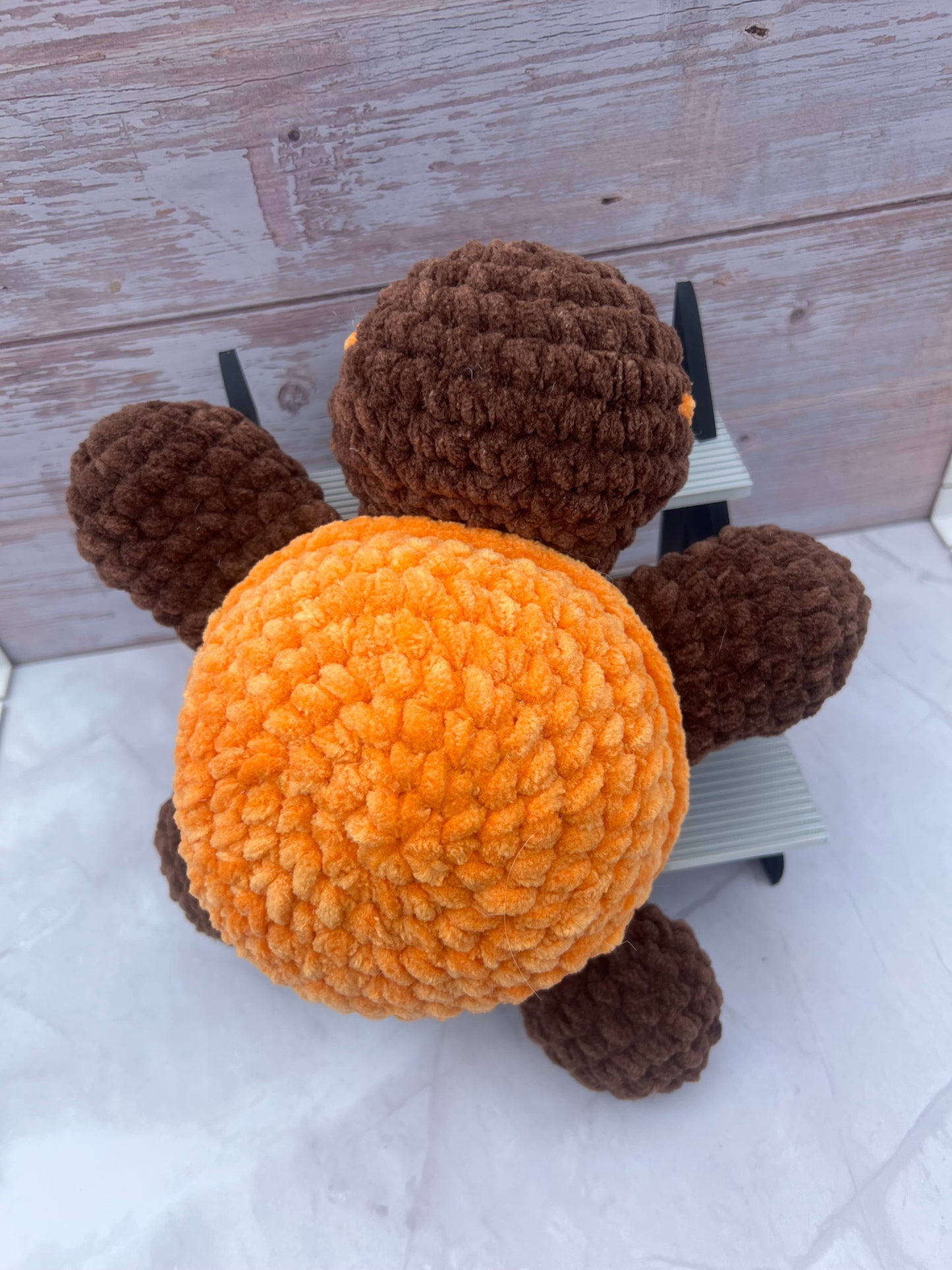 Orange/Brown Turtle