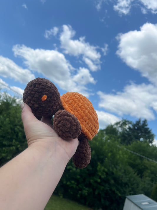 Orange/Brown Turtle