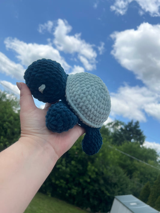 Aqua Turtle