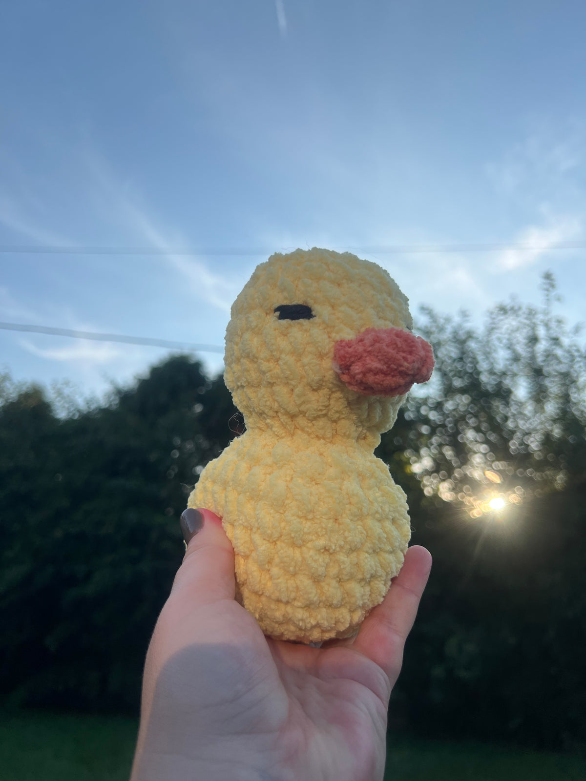 Rubber Ducky (Lg)