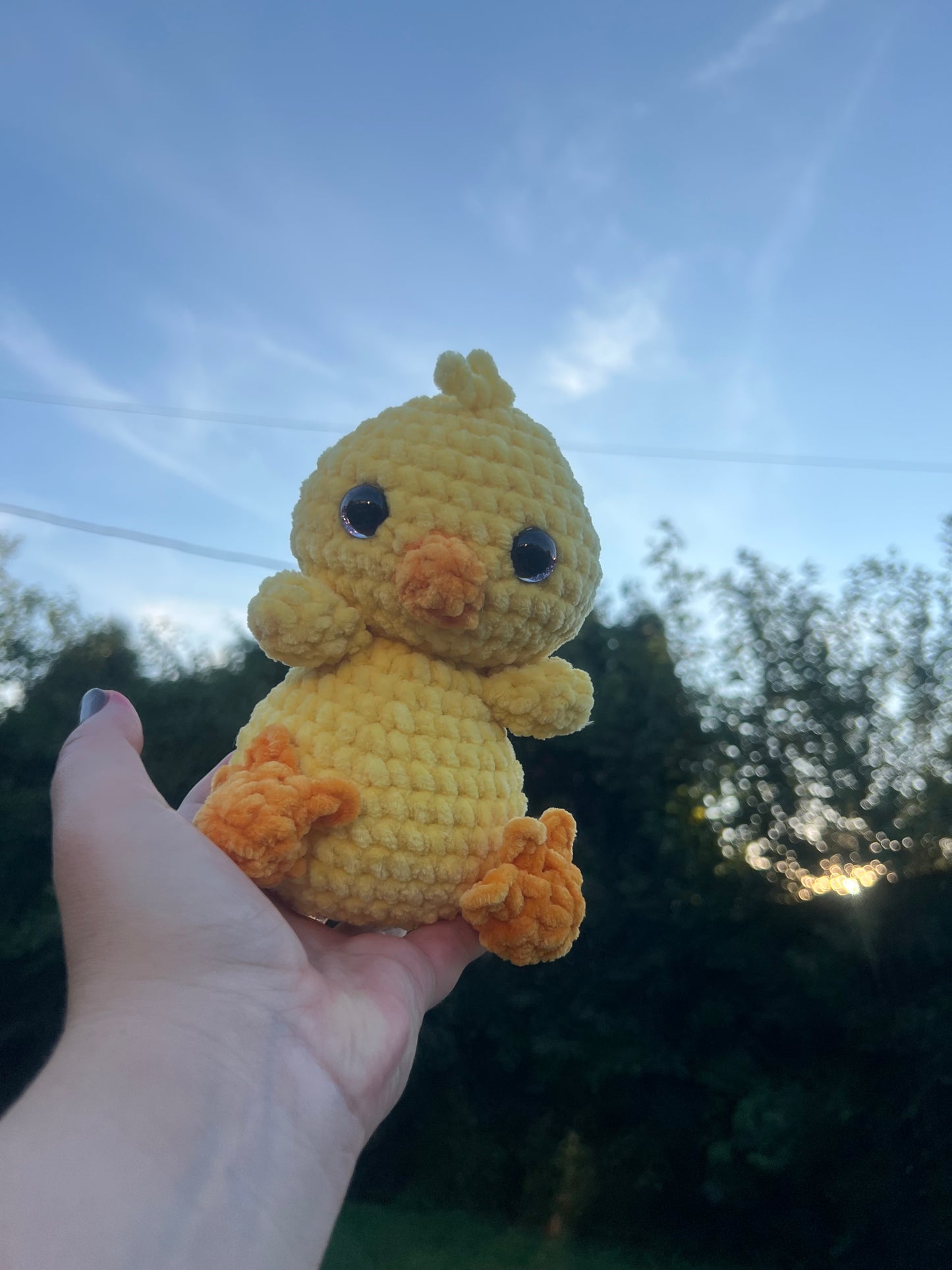 Claire the Chick